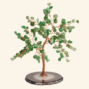 Lupa del éxito - Árbol de jade Feng Shui