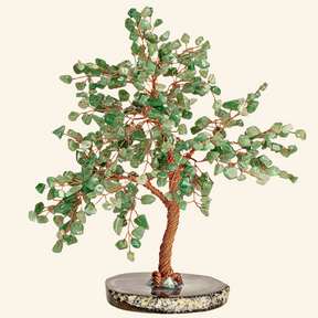 Lupa del éxito - Árbol de jade Feng Shui