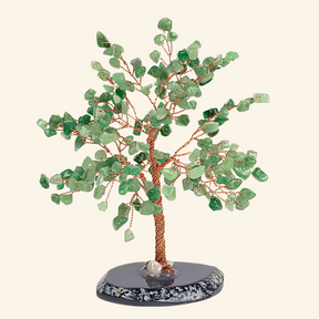 Lupa del éxito - Árbol de jade Feng Shui