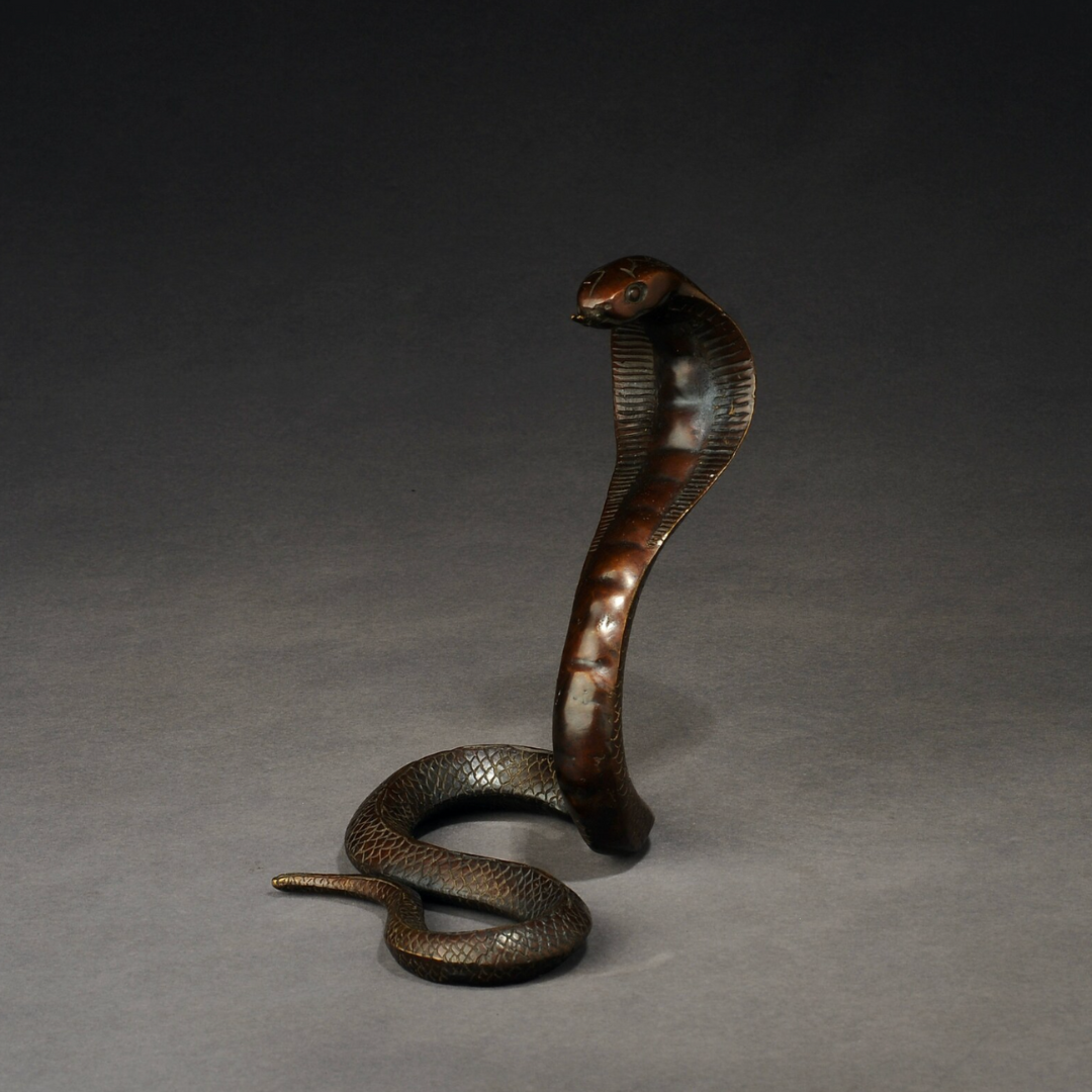 Japanese Bronze Cobra