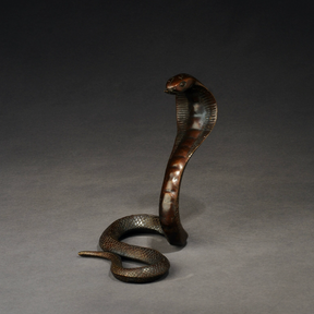 Japanese Bronze Cobra