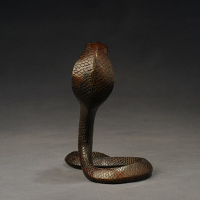 Japanese Bronze Cobra