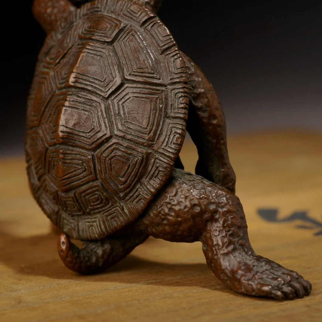 Japanese Gong Fu Turtle