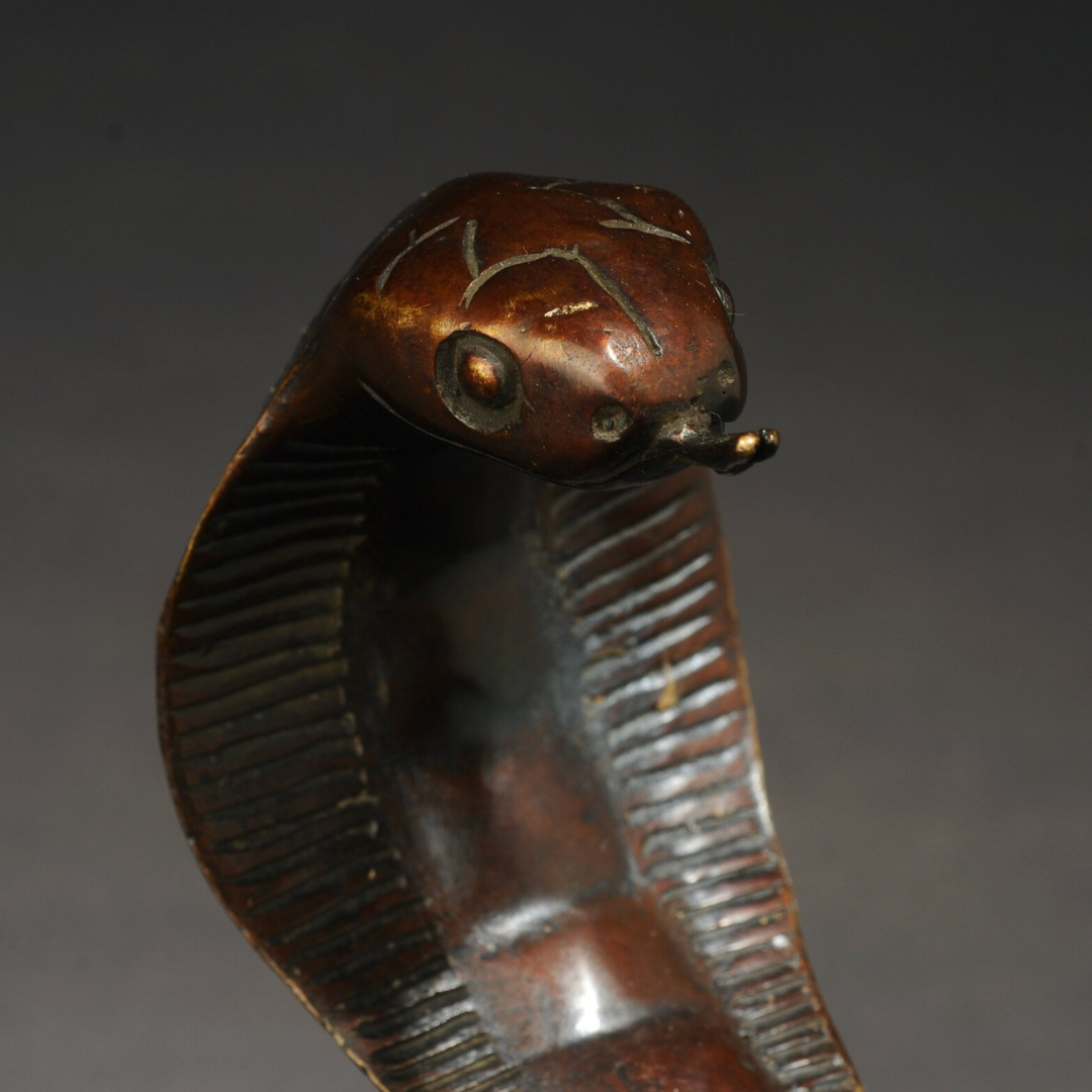 Japanese Bronze Cobra