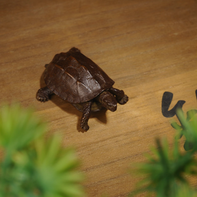 Japanese Meiji bronze turtle sculpture