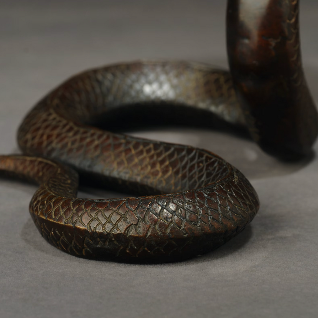 Japanese Bronze Cobra