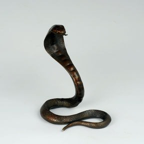 Japanese Bronze Cobra