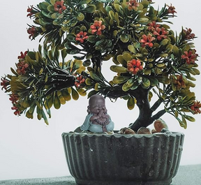 Bonsai Buddha