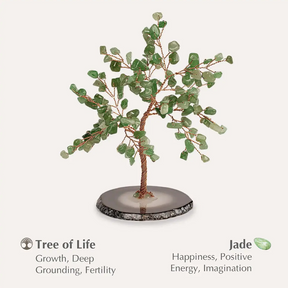 Lupa del éxito - Árbol de jade Feng Shui